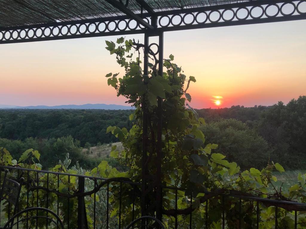 Agriturismo Cerrosughero Canino Eksteriør bilde