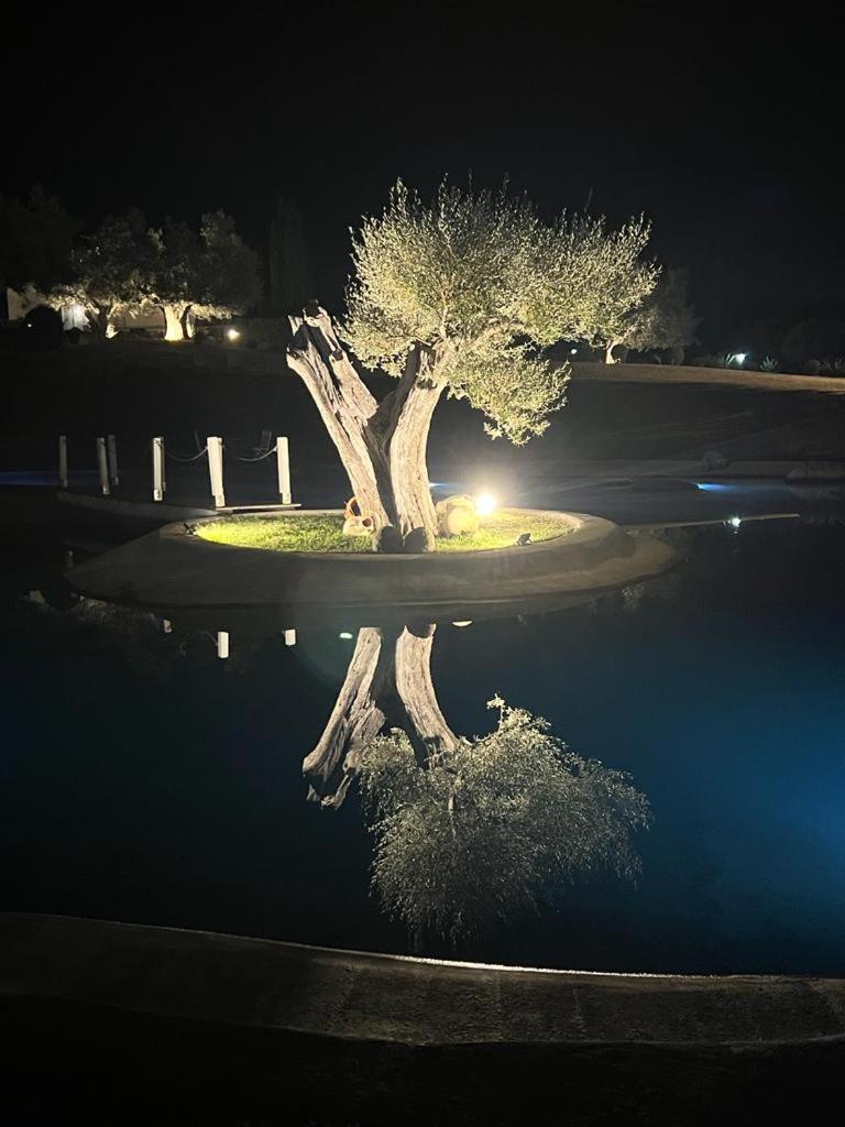 Agriturismo Cerrosughero Canino Eksteriør bilde